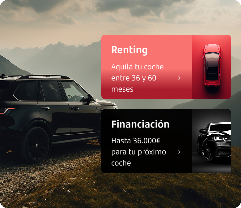 imagen de un coche en el campo